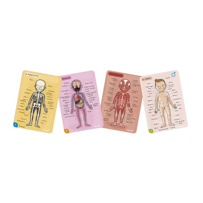 Cuerpo humano, juego magnético en 12 idiomas - Janod