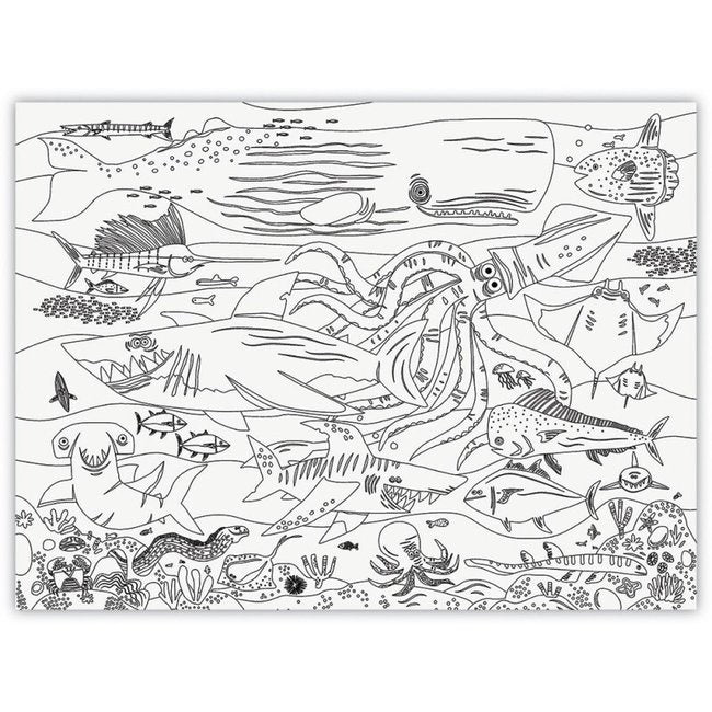 Poster gigante Shark Reef - Crocodile Creek