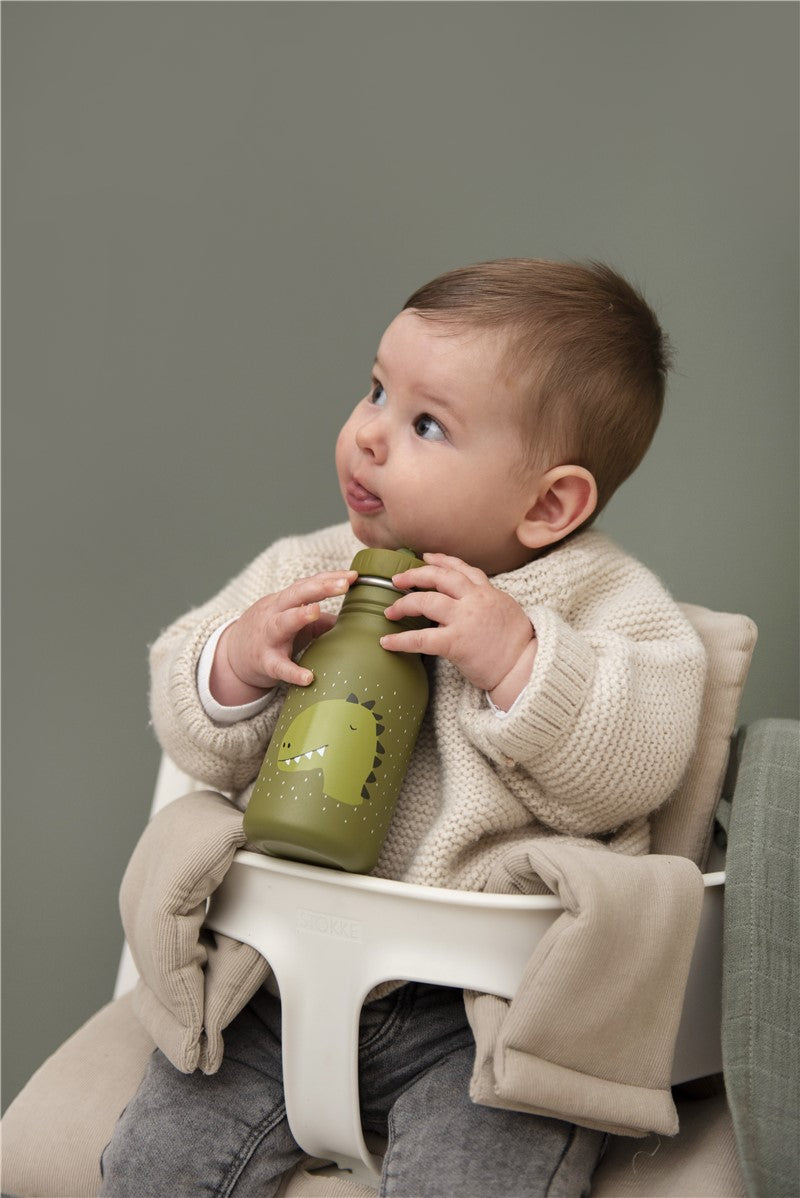 Botella 350 ml Mr. Dino - Trixie