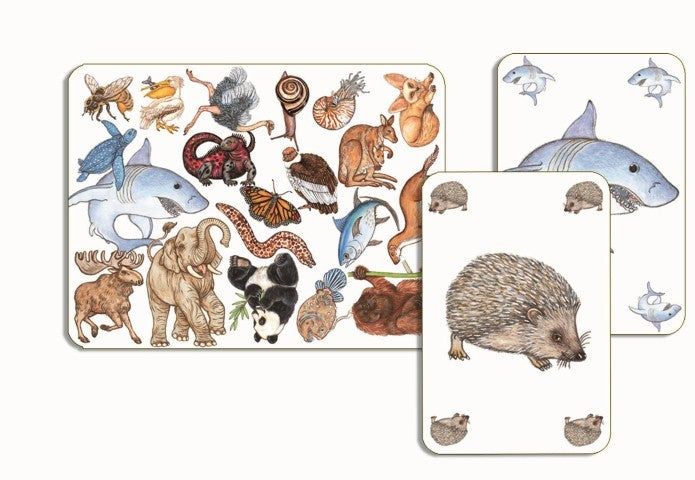 Juego de cartas, Zanimatch - Djeco