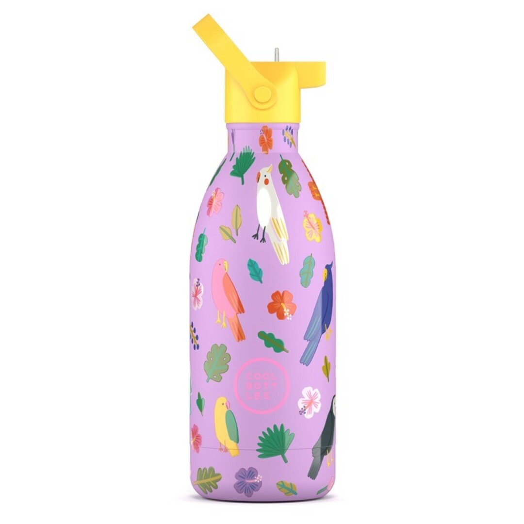 Botella de agua Fly Free 500ml - Cool Bottles