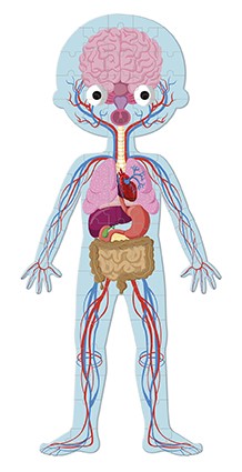 Puzzle educativo Cuerpo Humano 50,75,100 piezas - Janod