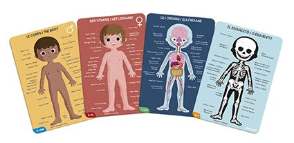 Puzzle educativo Cuerpo Humano 50,75,100 piezas - Janod