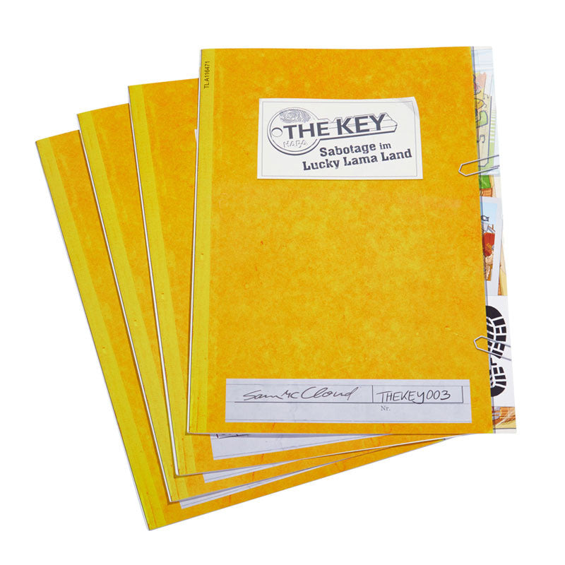 The Key-Sabotaje en el Parque de Atracciones-Haba