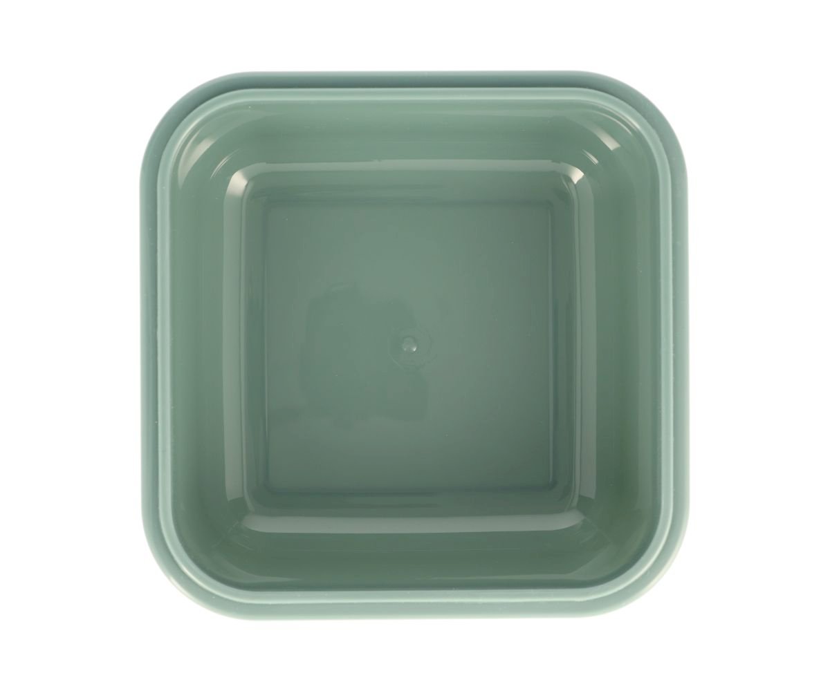 Caja Almuerzo Grande Dinos Word - Tutete