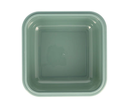 Caja Almuerzo Grande Dinos Word - Tutete