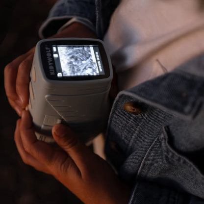 Kidyvision verde - Kidywolf