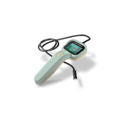 Kidyexplorer verde - Kidywolf