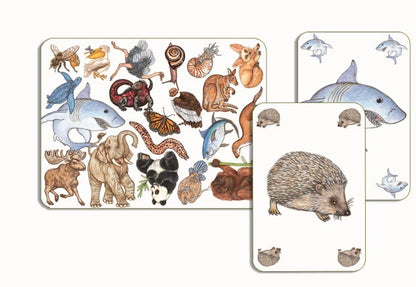 Juego de cartas, Zanimatch - Djeco