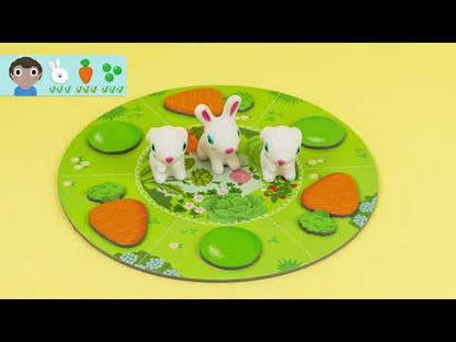 Juego Little Collect - Djeco